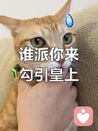 “痛苦没有等级，你摔断腿和你摔碎了心，疼痛都是真实的。”

我们总爱比较苦难，好像痛苦也需要竞标。但你委屈了就是委屈了，累了就是累了。不需要跟谁比惨，也不需要跟谁交代。

心理学里有个词叫“确认”——很多时候我们需要的不是建议，不是方法，只是有个人告诉你：你现在的感受是正常的，你没有被情绪抛弃。

你不用急着变好，不用急着走出来。你可以一边害怕一边往前走，可以哭着吃饭，可以带着伤口继续爱人。你不是机器，你是一个正在努力活着的人。配图