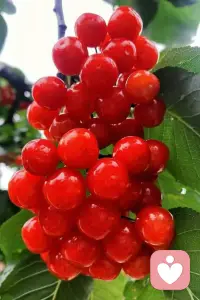 你的善良很贵，请带点锋芒。你的边界很重，请守住它。因为只有当你学会尊重自己的底线，世界才会开始尊重你。