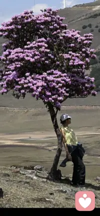 不知道你有没有这样的时刻，明明知道走个捷径就能够赢，却偏偏选择了那条更远的路。别人笑你傻，你自己也说不上为什么，就是过不了心里的那道坎。