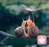 成熟的爱是“在激情与温柔的整合中，对另一个人的深刻承诺。”配图