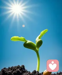 世间百态，每个人都是一个独特的个体，独特的属性，就跟世界上没有相同的两片叶子一样，都值得被尊重和理解