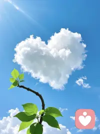 人生如棋，落子无悔，别回头，谁都不是原来的样子，生活还是要继续，活好当下，好的坏的都要接受。配图