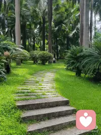 如果你不花时间去创造你想要的生活，那么你将被迫花更多的时间去应付你所不想要的生活。成功的路上，没有人会叫你起床，也没有人会为你买单。你需要自我管理、自我约束，自我突破。一个人的斗志，最容易消磨在犹豫、等待和拖延里，犹豫不决，从来都是人生路上最大的绊脚石。与其内耗纠结、原地徘徊，不如把所有精力都沉淀下来好好提升自己。路虽远，行则将至；事虽难，做则必成。请记住，当你静下心深耕自己、默默蓄力的那一刻，全世界都会为你让路，奔赴属于你的万丈光芒。配图