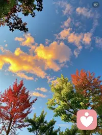 生活已经那么累了，你又何必想那么多呢！把自己搞得那么疲惫，你难道就不知道：路走得太多；疼的是脚。人想得太多；累的是心。无法掌控的事太多，尽力就好，一辈子就活一次，可有可无，可去可留，不问不闹，不想不等，也不再期待，初来人间不知苦，潦草半生一身无，转身回望来时路，才知生时为何哭。配图