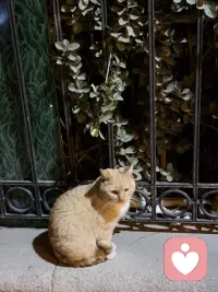 世界很吵，我只听你说。
每一段情绪，都有安放的地方。
你值得被好好倾听，好好善待。配图