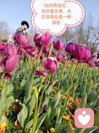 表达愤怒而不是愤怒的表达，你就是你，不被任何人定义配图