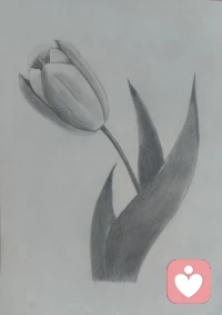 愿每位朋友过上舒心的曰子，越来越美丽，越来越好运，越来越开心，越来越健康！谢谢配图