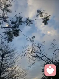 你凭什么不努力又什么都想要
请记住这句话
想要什么样的生活就靠自己奋斗
想要得到必须先付出配图