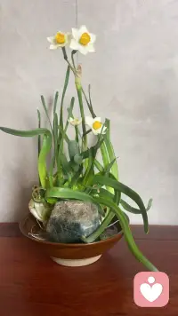 提升自己最快的方式，不是求快求多，而是找对方向、守住节奏。
慢慢来，会更快！要坚信长期主义配图