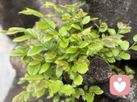 做对自己有利的事情，让其成为自然而然的事情，是我今年的目标。配图