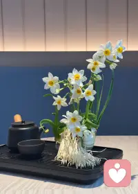 ‌倾听要以接纳为基础‌。

接纳意味着尊重并理解对方的表达内容与感受，这是进行有效倾听的前提。
在此基础上，才能做到积极地、认真地、关注地听，并适度参与。‌‌‌配图