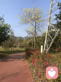 幸福的构成是健康的身体 良好的财务状况  丰盈的精神世界…真的和他人无关  别高估了自己在别人心里的位置…当你被亲情 爱情  友情包围时  请满怀感谢  感恩。
第一，我可能终生不受人深爱。
第二，我接受这个可能性。
第三，这并不妨碍我好好活着。
所有关系都是流动的:被爱是运气，自爱是底气，
当你足够爱自己，你会发现，有没有人爱你不重要，有则锦上添花，无则依旧风华，减少对别人期待，才是人生最大的清醒和觉悟。
被爱是运气，自爱是底气，
当你足够爱自己，你会发现，有没有人爱你不重要，有则锦上添花，无则依旧风华，减少对别人期待，才是人最大的清醒和觉悟不必追光，自己便是光源。
当你不再向外寻求肯定，才发现内心早已繁花盛开！配图