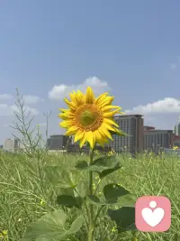 1. 学会放下，能吃能睡，活着就是最大的底气。
2. 看见自己拥有的，而不是一直期待想要的。
3. 把时间花在值得的事情上，别再为无关紧要的人消耗情绪， 也不在为没意义的应酬浪费精力。配图