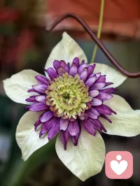 不同的人走着不同的路，但每一条路都必须为了觉悟。只要不悟，就是绝路。

穿越，人生就是穿越。只有穿越，不停地穿越，才接近终点。配图