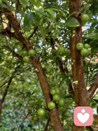 活出智慧、乐观，源于一个正念、正德！配图