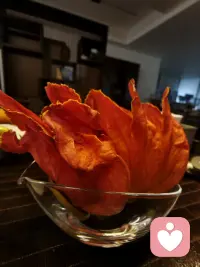 生活中的每一分每一秒，其实都是生命独一无二的馈赠。
人生没什么好失意的，活着就是一种胜利。配图