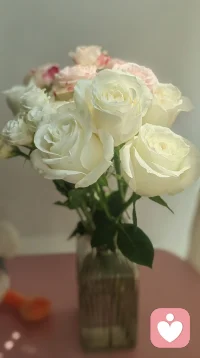 主席说：
中国梦归根到底是人民的梦，必须紧紧依靠人民来实现，必须不断为人民造福。

智慧心语：
 不要认为你认识的人就是你的人脉只有你利益的或崇拜你的人，才是你的人脉。

经典金句：
家之父兄，国之君长，与凡年高、德高、位高、识高者，皆当加意奉事。《了凡四训》配图