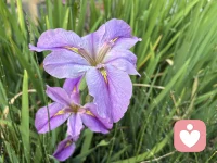 内容自信
经历自信
人格自信
相信相信的力量配图