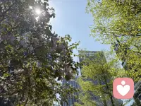 不敢出门了
怕被美晕
迷倒在春天里
我可没有去找春天
是春天来找我的。
哈哈😄配图