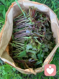 看一个男人，去掉他的经济价值，你还愿意跟他相处，那他就是你要找的人。
 看一个女人，去掉她的性价值，你还可以交往，那她就是值得的人。
所谓去色而见其品，方为佳人。
忘其财而失其志，乃为良伴。
当浮华褪尽，条件归零，
我仍愿与你并肩，这才是契合。配图