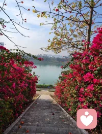 “成年人的见面，成本很高。贵的不是一顿饭，一杯咖啡，而是彼此的时间，是特意腾出的半天，是推掉其他安排，调整好状态，专门为你而来。我愿意为你花这些时间和心思，只因为你很重要，我很在意”配图