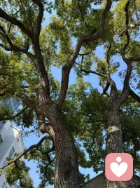 心平静了，世界将会变得平静
心刚毅了，困难都不会是困难配图