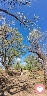 人活着，不要太能干了。
钱有人花，罪自己受，但最怕的是，你连“老”都没活到。
能干是本事，但透支身体是最亏本的买卖配图