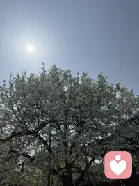 试图改变别人的人，
最终并未能改变别人。
努力改变自己的人，
最终成功地改变了别人。
世界很大，
个体很小，
你会发现，
改变个体并不比改变世界容易多少。配图