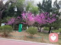 复旦大学陈果教授说：“别人爱不爱你，不重要；甚至父母爱不爱你，也不重要；丈夫爱不爱你，不重要；孩子爱不爱你，不重要。”
“内心的漏洞，一生都在缝缝补补。总以为有爱如山，有情如水，让你可以全心依赖，安心归航，殊不知一切其反。
自己爱自己，这一生就已足够。有多少人一辈子都不会爱自己，却指望得到别人的眷顾。”
你要明白：“接受没人爱你。任何人的爱都是负担。爱上任何人都无法自由。释怀所有人安静地离开。不对任何人怀有期待。你在意什么什么就折磨你。只要你只爱自己，你就是自由的。”
父母给的爱有局限，你不再愤怒；伴侣的爱会变化，你不再崩溃；朋友的关心会消失，你不再绝望。
不是变得冷漠，而是懂了：他人的爱是流动的水，你非要拿碗去接，接不住就怨天尤人。不如自己挖口井，喝自己的水。别人愿意分你一杯是情分，不分也饿不死。
在这物欲横流的社会，还是学会爱自己吧。内心足够强大，就再也不需别人廉价的爱了。
所愿，所不愿，不如心甘情愿；所得，所不得，不如心安理得。
强大自己，丰盈自己，取悦自己，善待自己，爱惜自己，这才是真正的硬道理。
“有求必苦，无欲则刚。一定要投资自己，让身体健康，灵魂有趣，活得像诗人一样，鲜花怒马，烈焰四方。
父母并没有那么爱你，未来的配偶也会衡量你的价值。简单平淡的生活不是人人都能享受，钱才是人最大的安全感，只有自己才会一直爱自己。”配图