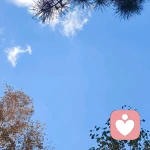 失语心理咨询师的头像