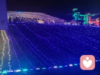 深夜树洞｜情绪陪伴｜孤独治愈
深夜不打烊，陪你度过难熬时刻
失眠、难过、委屈、迷茫、无人可说
安静倾听，温暖回应，给你安全感
你说，我听，一直都在配图