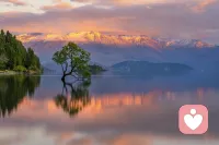 伤害你的往往不是事件本身，而是你对事件不合理的解读。如果你有烦恼，我在这里等你。配图