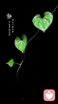 当我们心静了，整个世界也就静了。如果此时的你正处在焦虑，郁闷之中，我愿意陪你去探寻那份宁静。配图