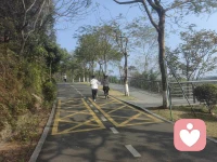 若即若离，有秩序的失控才是最佳的相处方式。

如果你有关系上的烦恼，我在这里等你倾诉。配图