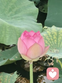 人只有学会自己爱自己，自己看见自己，才能在人际关系中保持最大限度的独立。

如果你有关系的烦恼，倾诉可以帮到你。