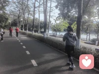 如果你在为最近股市，中东局势焦虑，不妨暂时放下手机，远离传媒，走向郊外，拥抱大自然，好心情就在那等你。