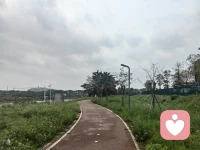 心态好，情绪好，身体好，运气就好！

如果你有自己化解不了情绪，我在这里等你。配图