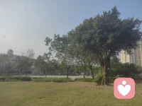 人不作，话不多，事不拖，麻烦就少。配图