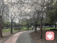 当你内心的满足感不再取决于外部的认可的时候，你就从有限的笼子里跑了出来。配图