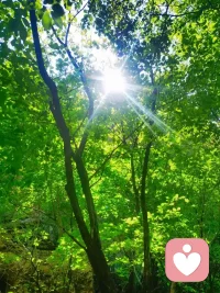 不干涉他人因果，把自己活成一道光，自然可以照亮他人。配图