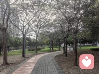人生哪能皆如意，万事只求半称心。当我们不再追求完美的时候，心自然也就宽了。配图
