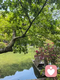 当我们认为“一切烦恼都是为我而来，而不是冲我而来”，负面情绪也就烟消云散了。