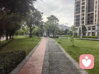 真正的支撑，最终来源于站稳了的自己。 给自己一点时间和耐心，先一点一点把自己重新拼凑完整。这个过程本身，就是走出困境最坚实的路。