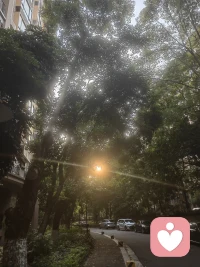 不把情绪当敌人，它不过是信使，告诉你边界在哪里。配图