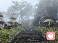 自省能让自己越来越看清自己，不断完善自己。配图