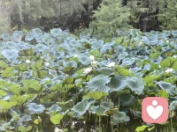 今天最好的作品，就是你自己——请用心雕琢每一个小时。配图