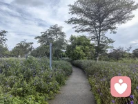 别用沉默惩罚爱你的人,误会都源于不表达。
