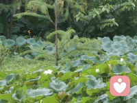 允许自己短暂地“不坚强”，也是一种高级的自我修复。