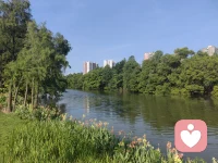 阳光正好，微风不燥，愿你心怀热望，眼有星辰，把平凡的日子过成诗。早安！配图