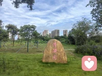晨光不是闹钟，是天空写给大地的第一封情书，而你，是那个小心翼翼拆信的人。早安！